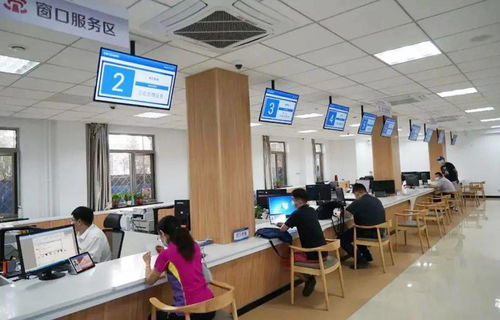 群眾少跑腿 信息多跑路 魯谷街道政務服務大廳實現“一窗受理”計算機信息咨詢服務